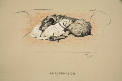 Amalgamation, 1930, 1. Ausgabe von 